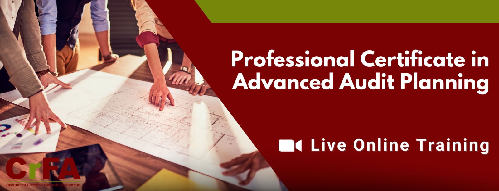 Professional Certificate in Advanced Audit Planning