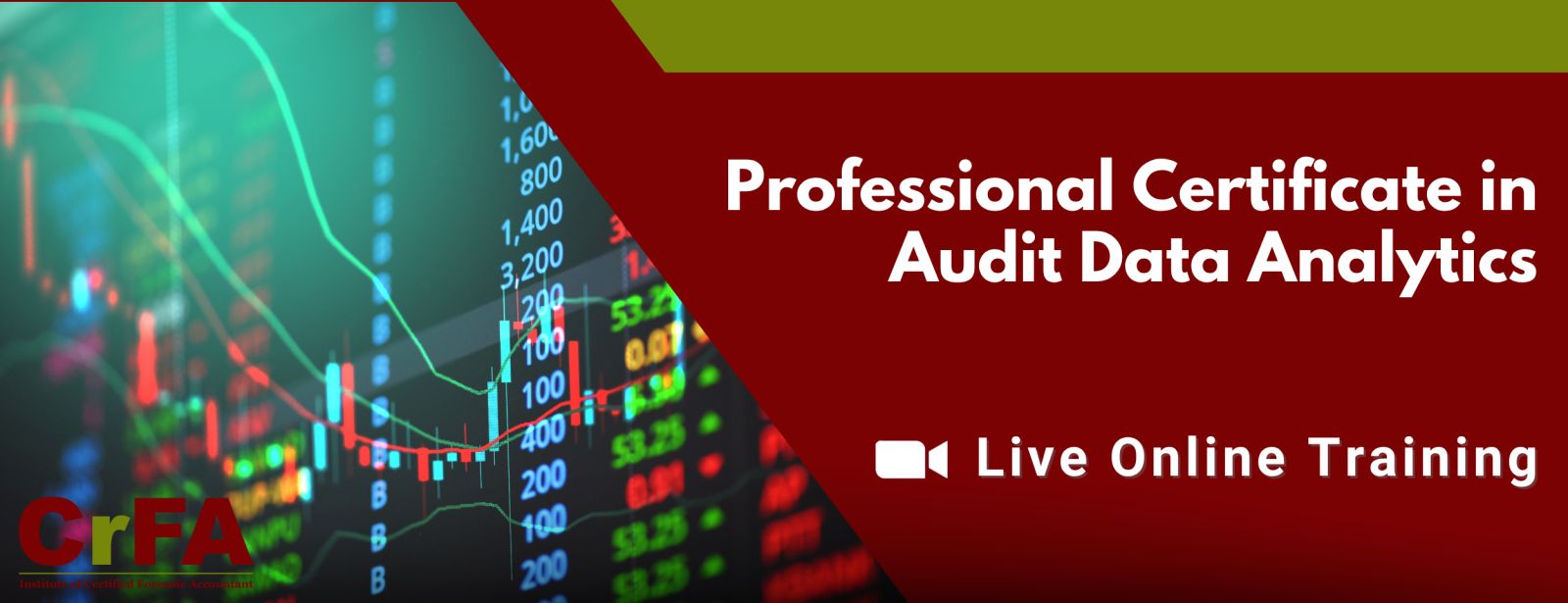 Professional Certificate in Audit Data Analytics