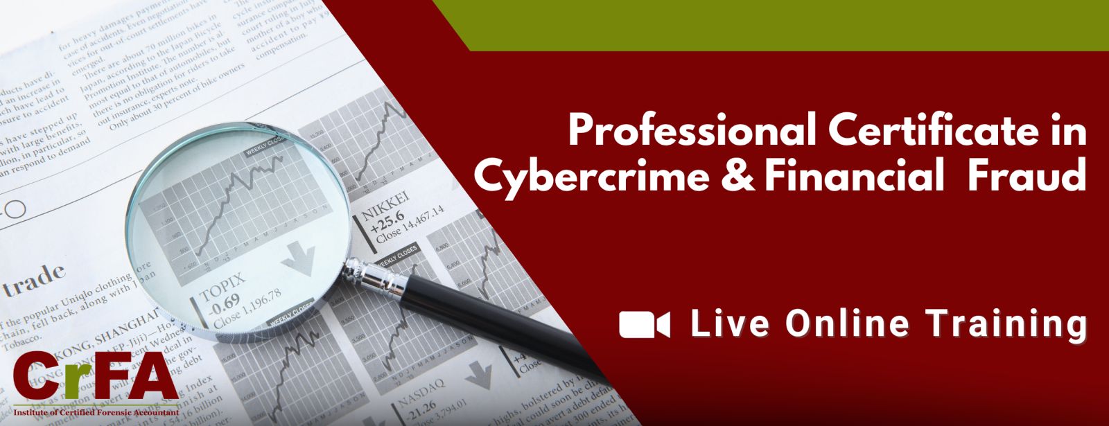 Professional Certificate in Cybercrime & Financial Fraud