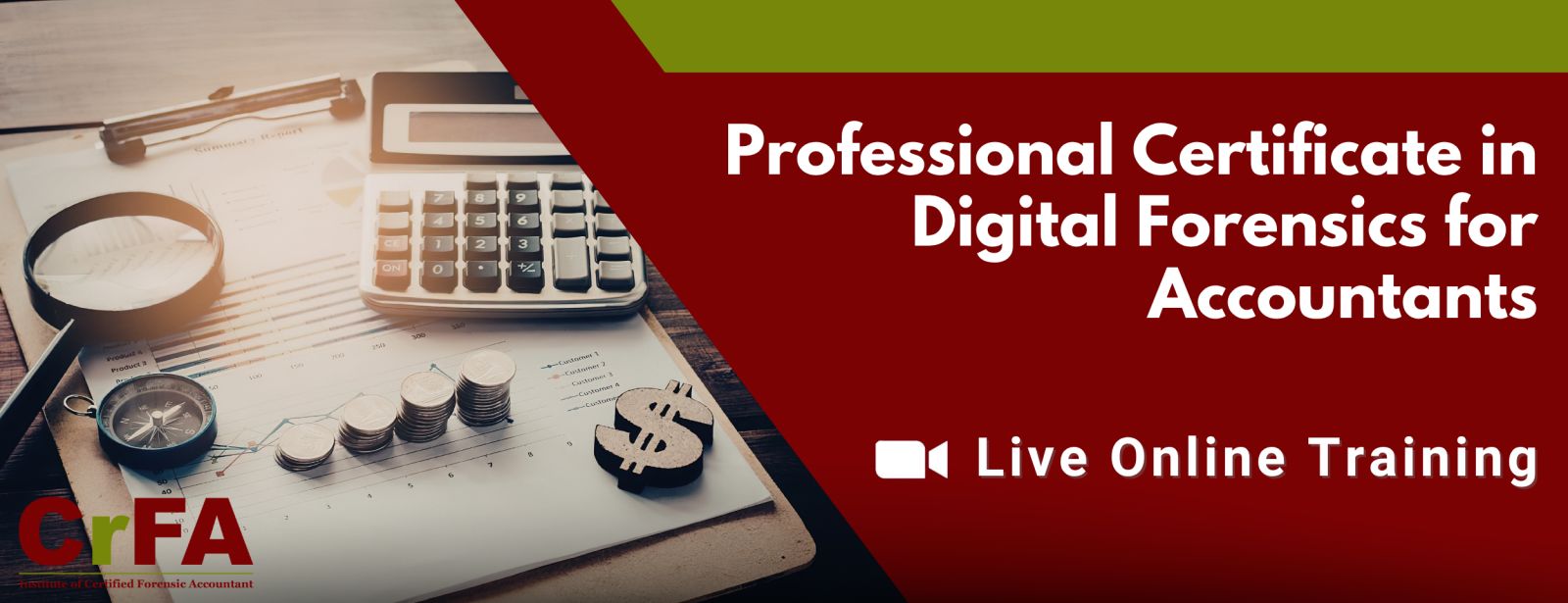 Professional Certificate in Digital Forensics for Accountants