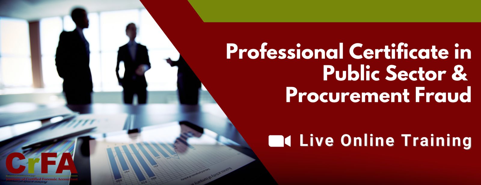 Professional Certificate in Public Sector & Procurement Fraud